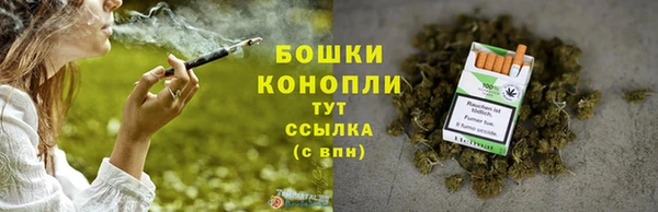 ешки Бронницы