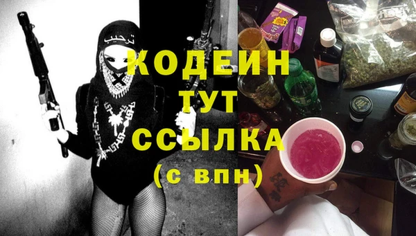 дурь Бородино