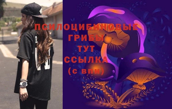 твердый Струнино