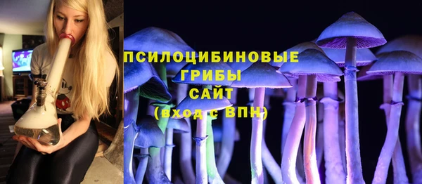 ешки Бронницы
